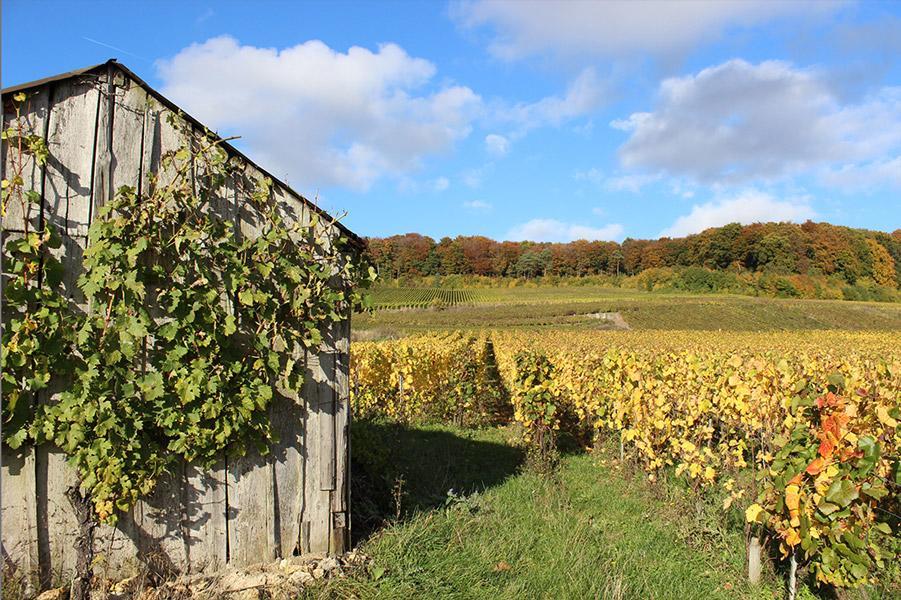Gite Du " Bas Du Cru " Villa Romery  Ngoại thất bức ảnh